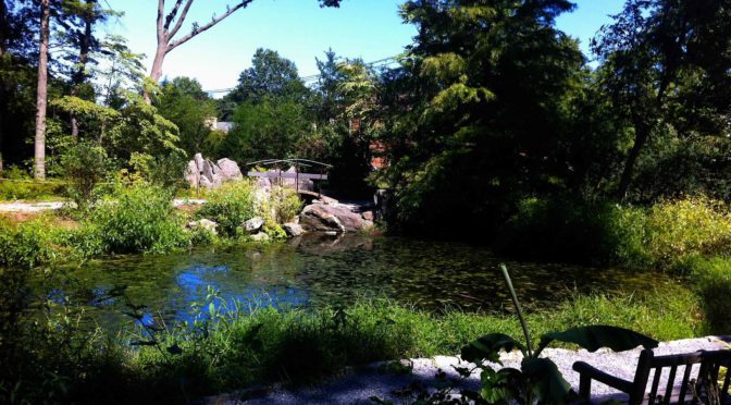 Clark Botanic Garden is the Former Estate of Greenville Clarke, World Peace Advocate