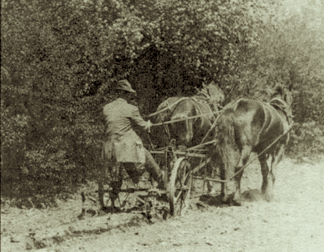 Leon Rushmore cultivating soil to prepare for planting corn on Rushmore's Farm circa 1918, Apple Orchard in Background